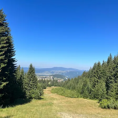 Hary Apartamento Vlasic