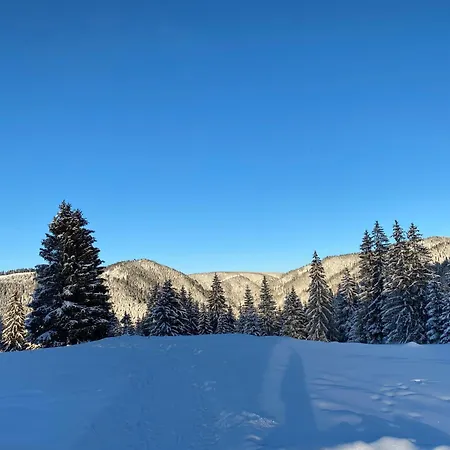 Hary アパート ヴラシチ